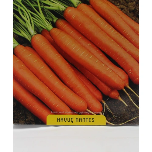 Havuç Tohumu 1 paket