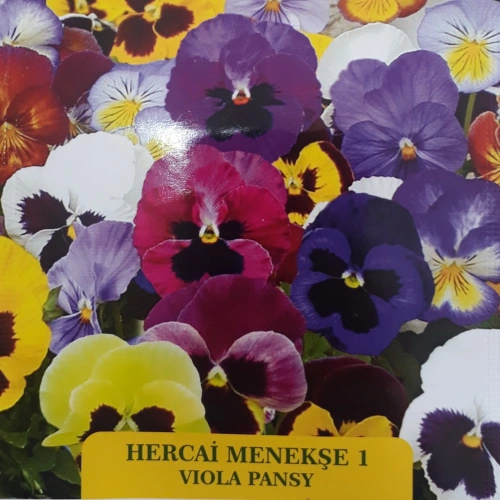 Hercai Menekşe-1 Çiçek Tohumu 1 paket