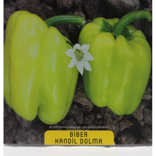 Kandil Dolma Biber Tohumu 1 paket