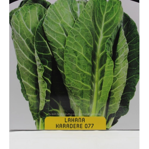 Karadere Lahana Tohumu 1 paket