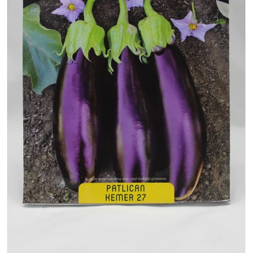Kemer Patlıcan Tohumu 1 paket