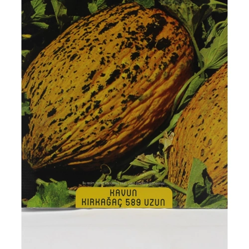 Kırkağaç 589 (uzun) Kavun Tohumu 1 paket