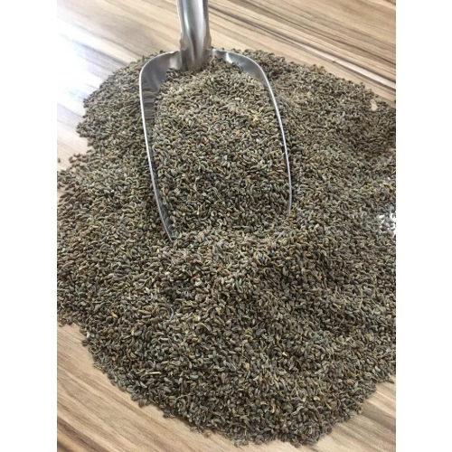 Maydanoz Tohumu 1 Kg