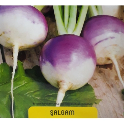 Şalgam Turp Tohumu 1 paket