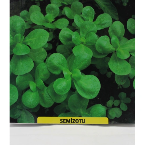 Semizotu Tohumu 1 paket