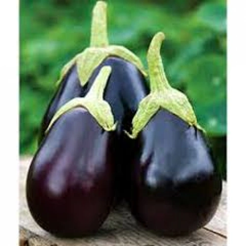 Topan Patlıcan Tohumu 1 paket