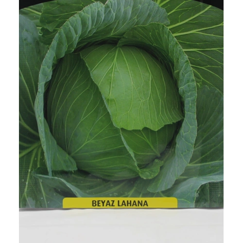 Yalova Sarmalık Lahana Tohumu 1 paket