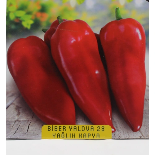 Yalova Yağlık Biber Tohumu 1 paket