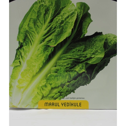 Yedikule Marul Tohumu 1 paket
