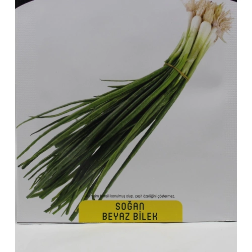 Yeşil Soğan Tohumu 1 paket