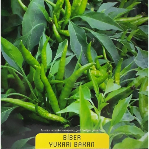 Yukarı Bakan Cin Süs Biber Tohumu 1 paket