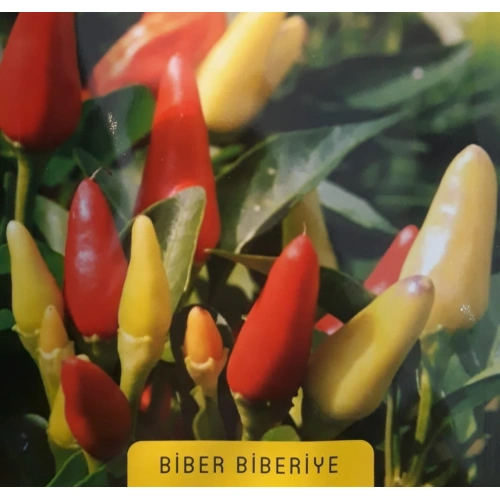 Biberiye Tohumu 1 paket