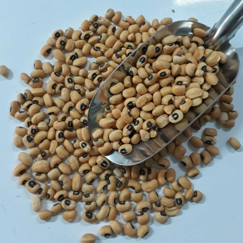 BÖRÜLCE TOHUMU 1 KG