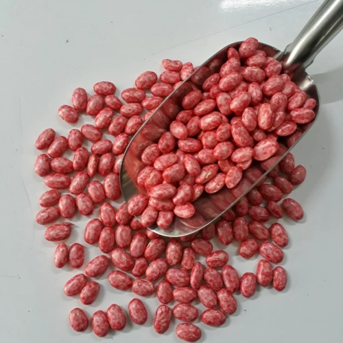 ERBAL (TURŞULUK OTURAK) FASULYE TOHUMU 1 KG