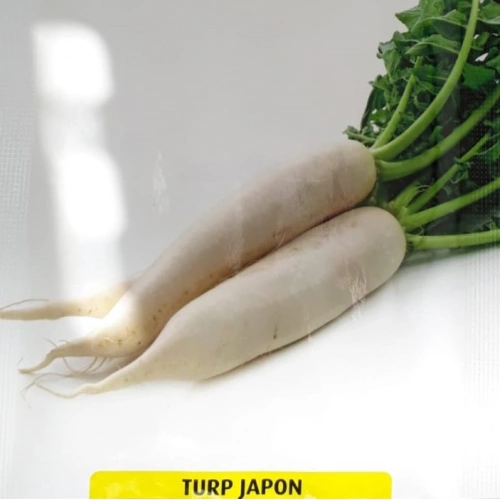 Japon Turp Tohumu 1 paket