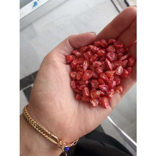 Tatlı şeker kompozit mısır tohumu 1 kg