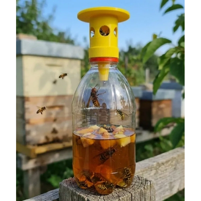 Pet Şişe Uyumlu Eşek Arısı Tuzağı Aparatı 3lü Avantaj Paketi(Kimyasalsız Doğal Arı Kapanı)