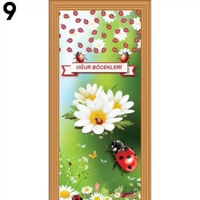 Ana Sınıfı Kapı Giydirme Çeşitleri