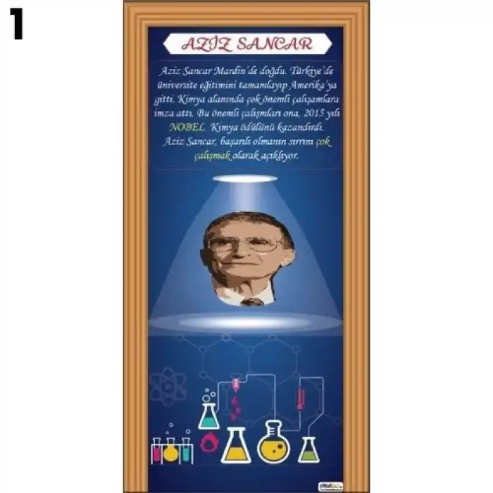 Aziz Sancar Kapı Giydirme