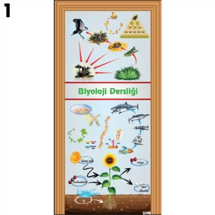 Biyoloji & Fen Kapı Giydirme