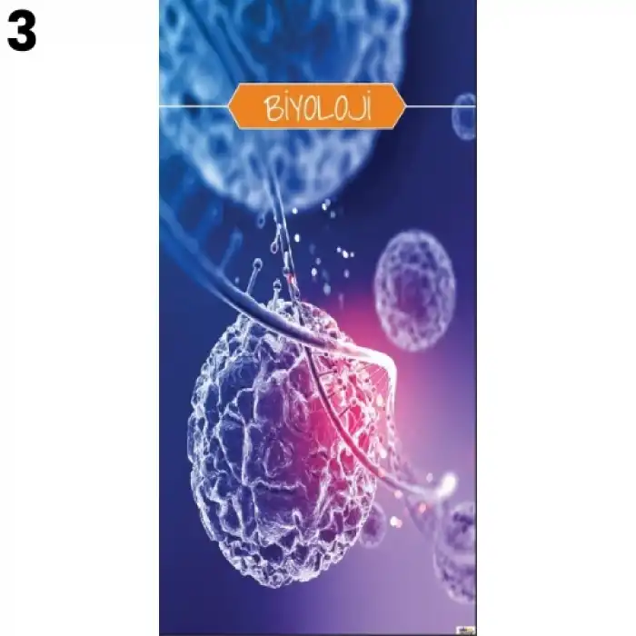 Biyoloji & Fen Kapı Giydirme