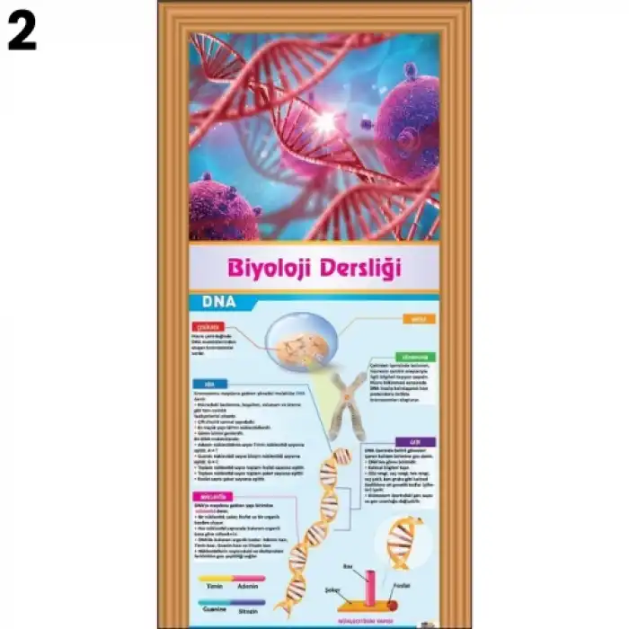 Biyoloji & Fen Kapı Giydirme