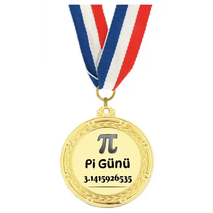 Dünya Pi Günü Madalyası 1