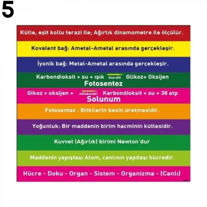 Fen Merdiven Yazısı Çeşitleri