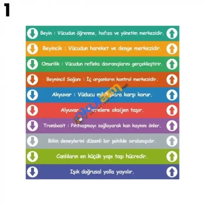 Fen Merdiven Yazısı Çeşitleri