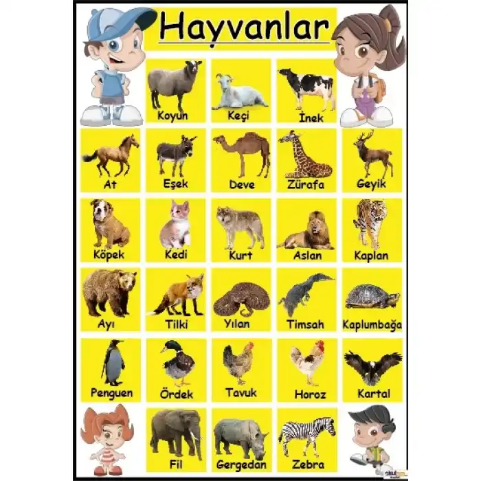 Hayvanlar Afişi