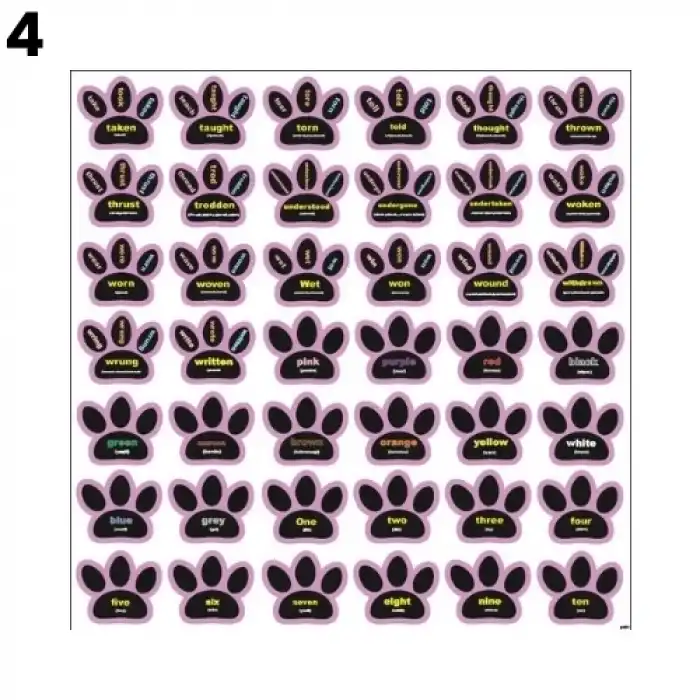 İngilizce Düzensiz Fiiler Pati Ayak İzleri