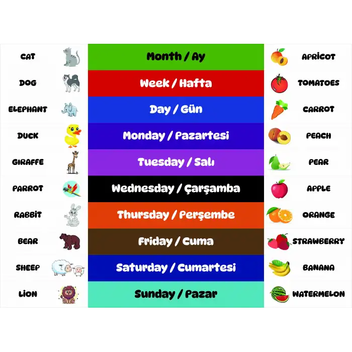 İngilizce ve Türkçe Aylar Merdiven Yazısı