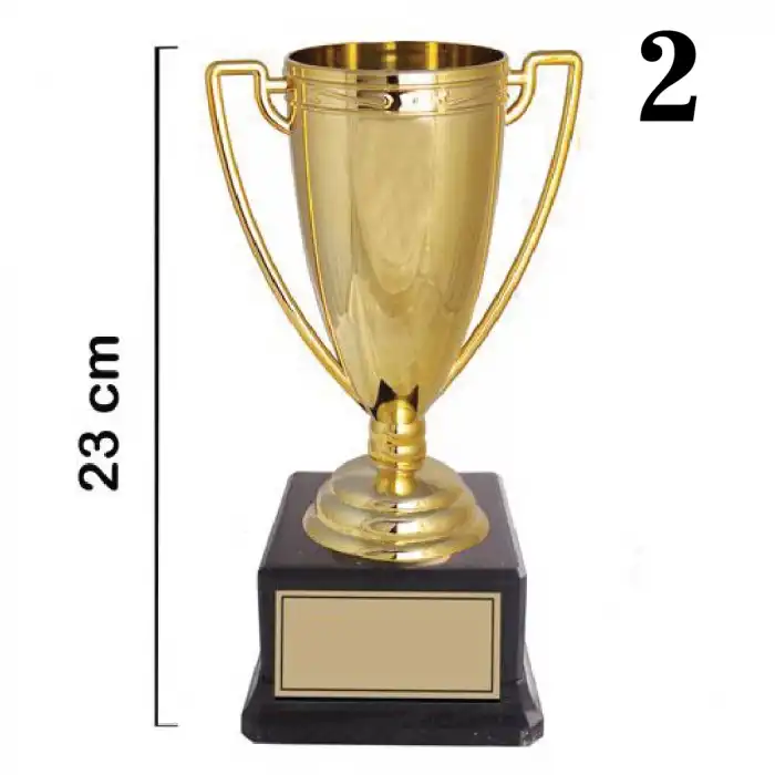Ödül Kupası 3