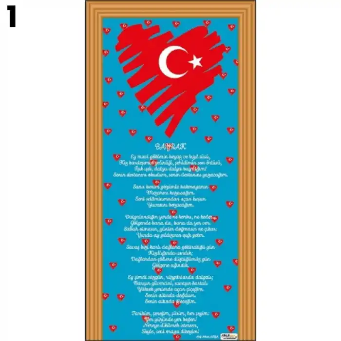 Türk Bayrağı Kapı Giydirme