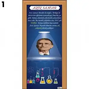 Aziz Sancar Kapı Giydirme