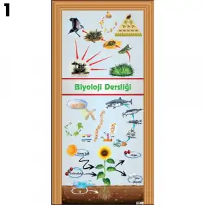 Biyoloji & Fen Kapı Giydirme
