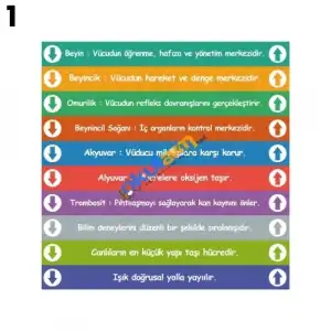 Fen Merdiven Yazısı Çeşitleri