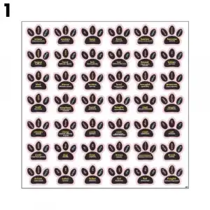 İngilizce Düzensiz Fiiler Pati Ayak İzleri