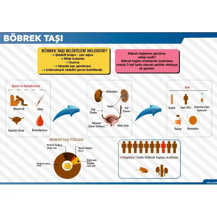 Böbrek Taşı Afişi