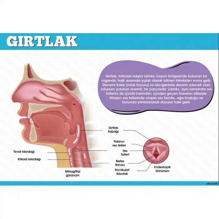 Gırtlak Afişi