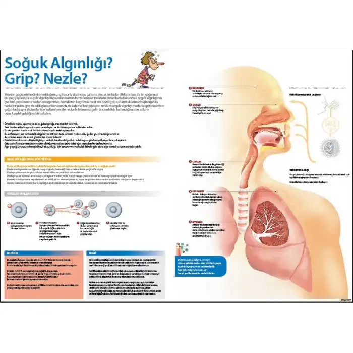 Grip, Nezle ve Soğuk Algınlığı Afişi (Posteri)