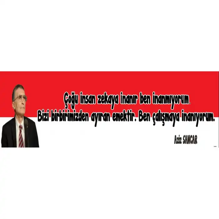 Aziz Sancar Kiriş Yazısı