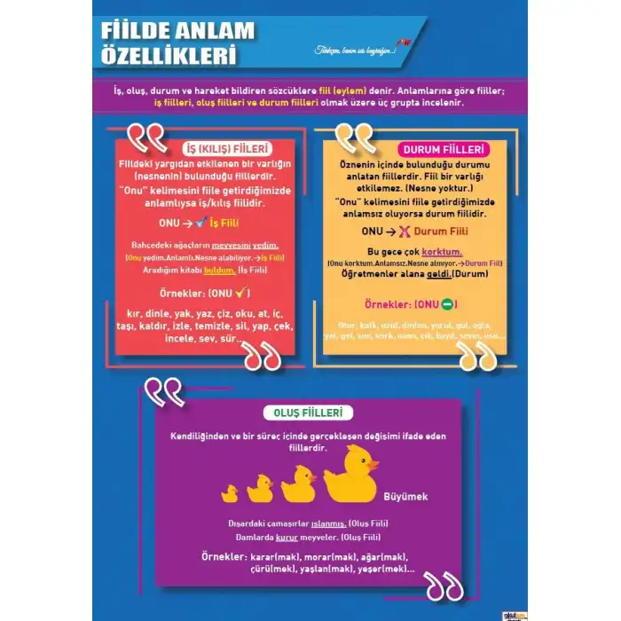 Fiilde Anlam Özellikleri Afişi