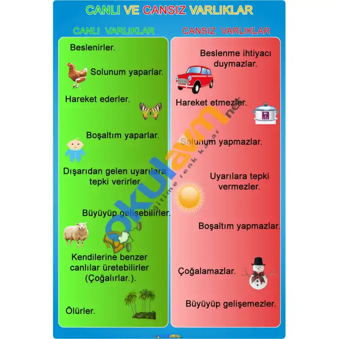 Canlı ve Cansız Varlıklar Afişi