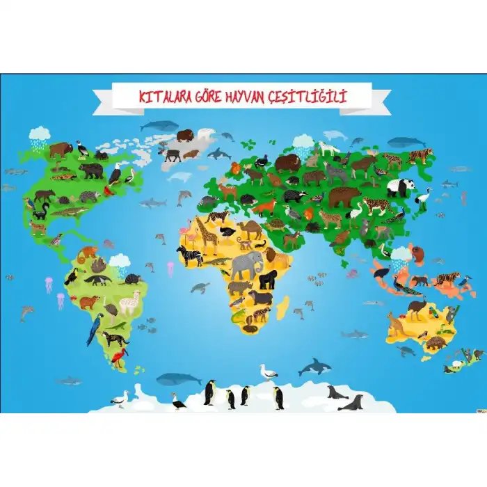 Kıtalara Göre Hayvan Çeşitliliği Afişi (Posteri)