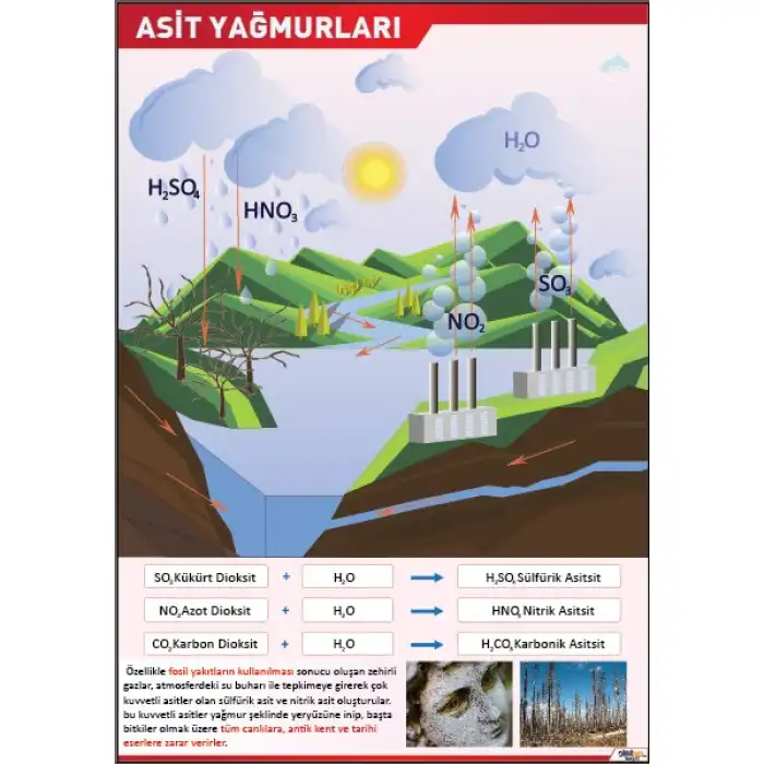 Asit Yağmurları Afişi