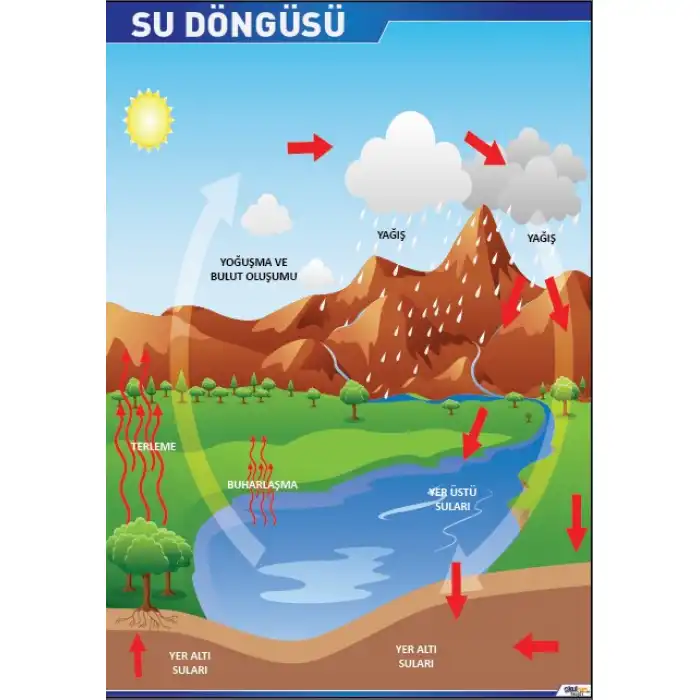 Su Döngüsü Posteri
