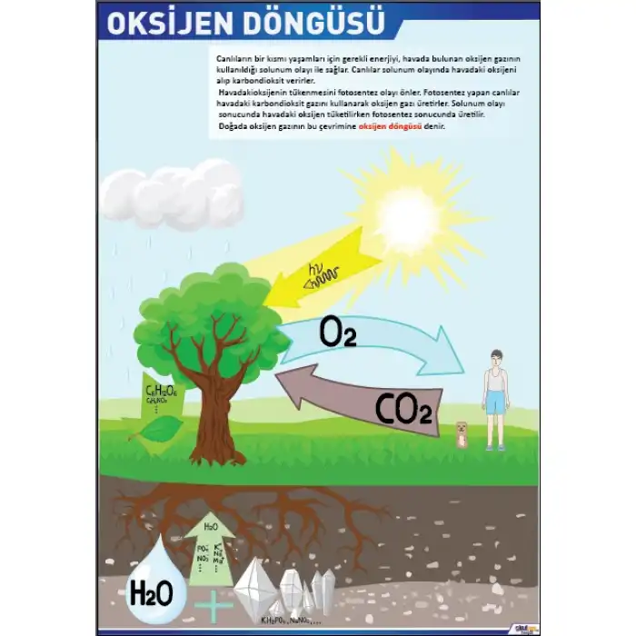 Oksijen Döngüsü Afişİ