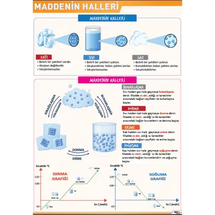 Maddenin Halleri Posteri