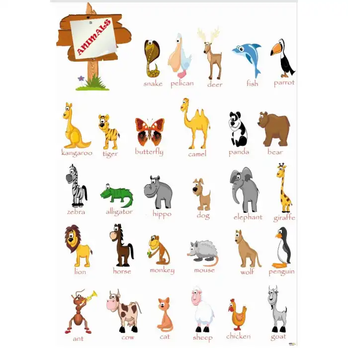 İngilizce Hayvanlar Afişi (Animals)